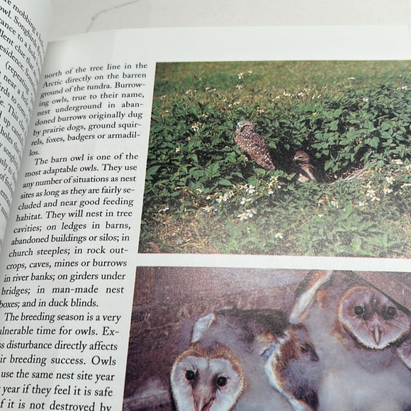 🌻4/$20 Vintage How to Spot An Owl Softcover 1994 Softcover Book Chapters Publ - Picture 12 of 16